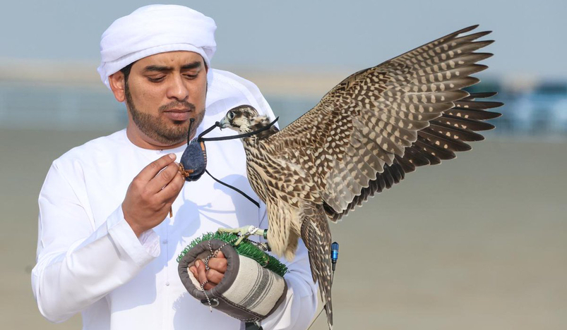 Qatar International Falcons and Hunting Festival